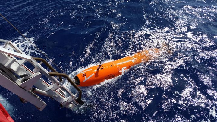 AUV